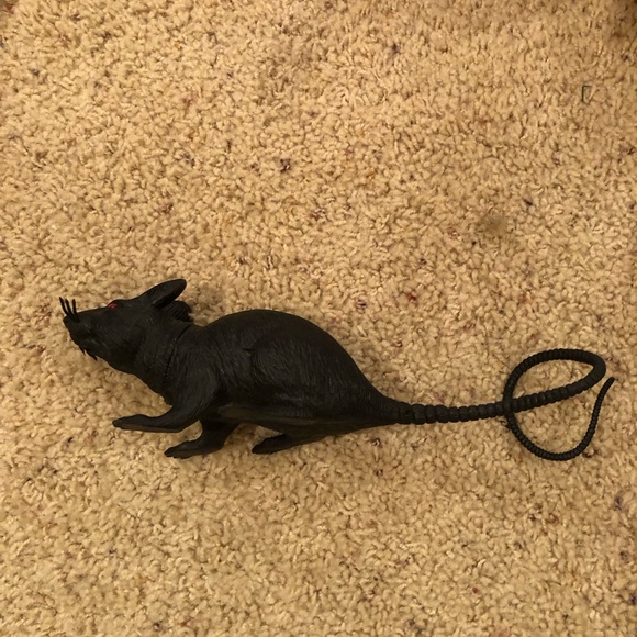 Rat and mouse Life like Halloween decoration rat with mouse, like new or new - Picture 2 of 8